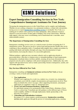 Expert Immigration Consulting Services in New York