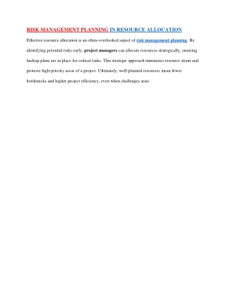 Risk Management Planning in Resource Allocation