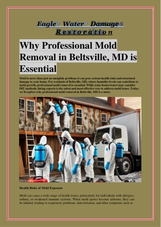 Why Professional Mold Removal in Beltsville, MD is Essential