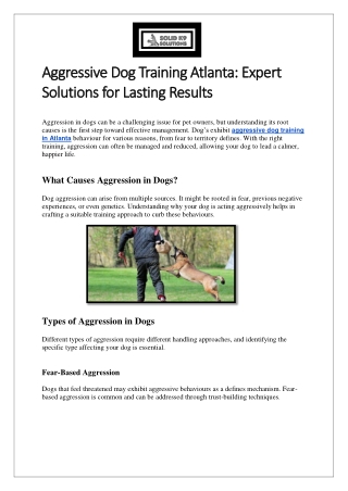 Aggressive Dog Training Atlanta Expert Solutions for Lasting Results