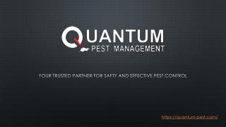 Best Pest Control Coimbatore