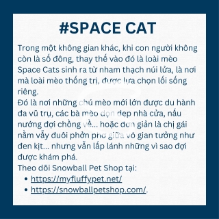 #Space Cat