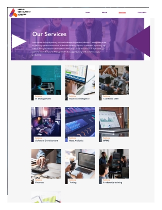 IT Solutions for Your Business | Anasol Consultancy Services