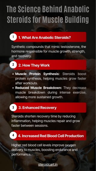 The Science Behind Anabolic Steroids for Muscle Building