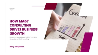 How Barry Garapedian MAG7 Consulting Drives Business Growth