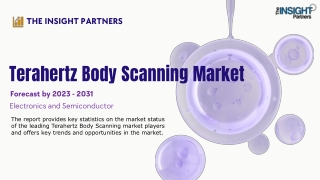 Terahertz Body Scanning Market
