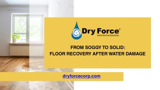 From Soggy to Solid Floor Recovery After Water Damage