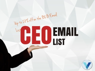 CEO B2B Email Database