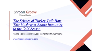 The Science of Turkey Tail How This Mushroom Boosts Immunity to the Cold Season