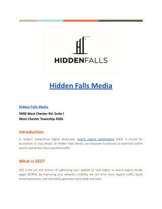 SEO Services - Hidden Falls Media