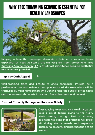 Efficient Tree Trimming Services