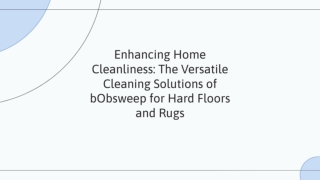 bObsweep product reviews