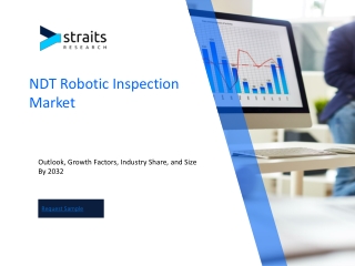 NDT Robotic Inspection Market