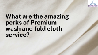 What are the amazing perks of Premium wash and fold cloth service?