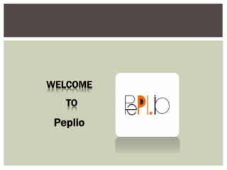 Seo Service In USA | Peplio