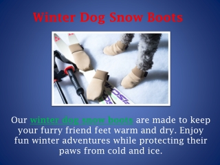 Winter Dog Snow Boots