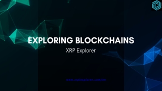 Understand the XRP Ledger Like Never Before with XRP Explorer