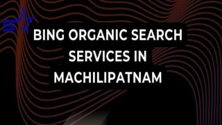 Bing organic search services in Machilipatnam