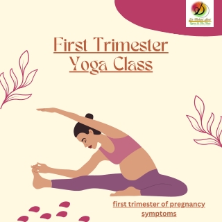 first trimester of pregnancy symptoms