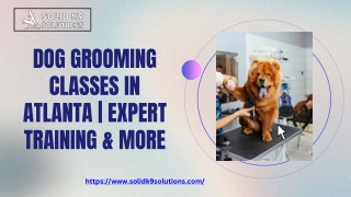 Dog Grooming Classes in Atlanta  Expert Training & More