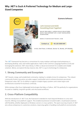 Why .NET Is Such A Preferred Technology for Medium and Large-Sized Companies