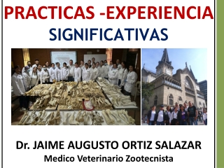 DIAPOSITIVAS PRACTICAS -EXPERIENCIA SIGNIFICATIVA