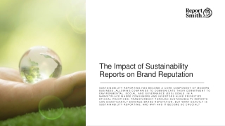 The Impact of Sustainability Reports on Brand Reputation