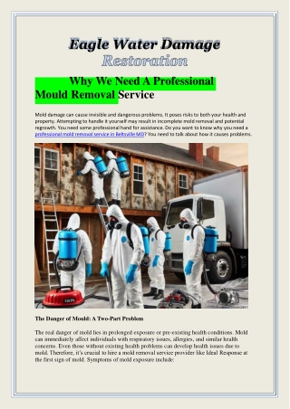 Why We Need A Professional Mould Removal Service