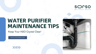 Water Purifier Maintenance Tips with Sorso Wellness Water