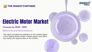 Electric Motor Market