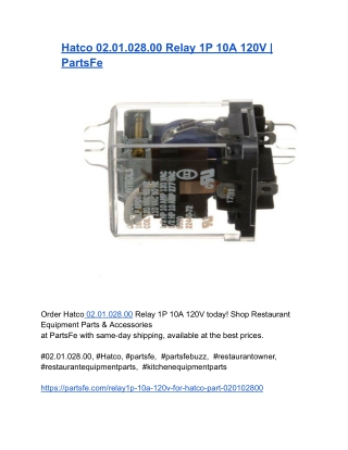 Hatco 02.01.028.00 Relay 1P 10A 120V _ PartsFe