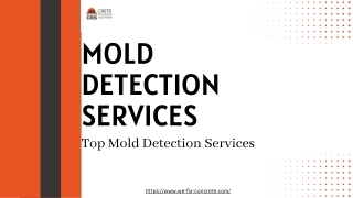 Mold Detection Services