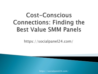 Cost-Conscious Connections: Finding the Best Value SMM Panels