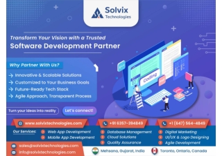 Software Development Partner - Solvix Technologies