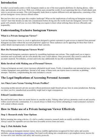 A Newbie's Overview to Utilizing a Private Instagram Viewer Effectively
