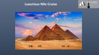 Luxurious Nile Cruise