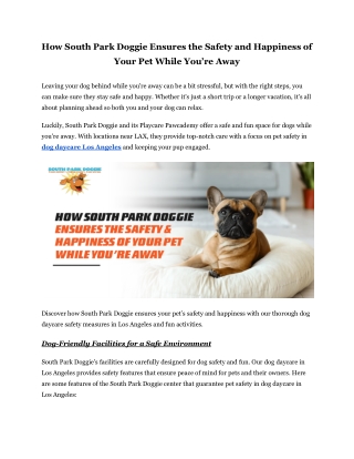How South Park Doggie Ensures the Safety and Happiness of Your Pet While You’re