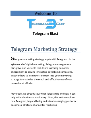 Telegram Marketing Strategy