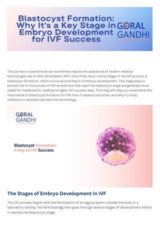 Blastocyst Formation Why It's a Key Stage in Embryo Development for IVF Success