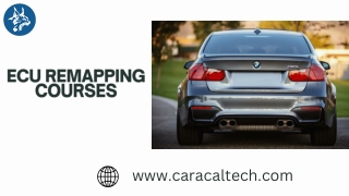 Boost Your Vehicle's Performance with Expert Chip Tuning File Services