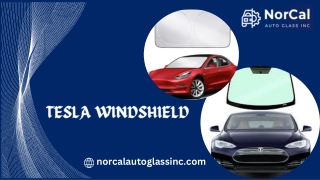 Tesla windshield