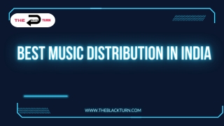 Best Music Distribution In India - The Black Turn