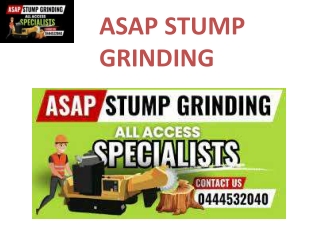Tree and Stump Removal Gold Coast – Efficient, Affordable Tree Clearing Services