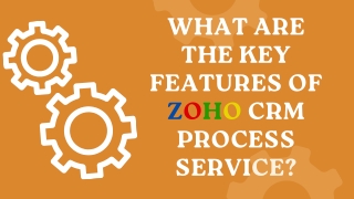 What are the key features of Zoho CRM Process service
