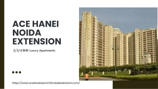 Ace Hanei Noida Extension