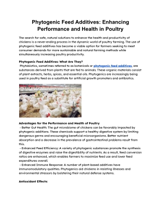 Phytogenic Feed Additives_ Enhancing Performance and Health in Poultry