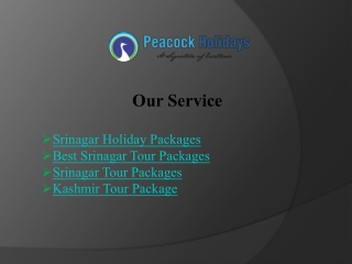 Discover the Best Srinagar Tour Packages for Unforgettable Journeys