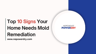 Top 10 Signs Your Home Needs Mold Remediation