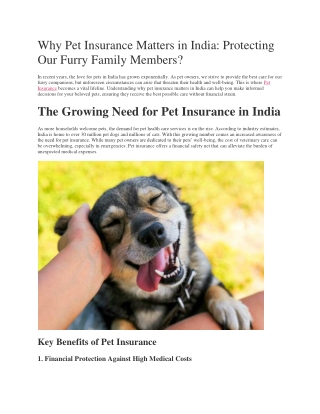 Why Pet Insurance Matters in India: Protecting Our Furry Family Members?