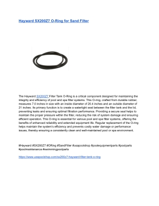 Hayward SX200Z7 O-Ring for Sand Filter